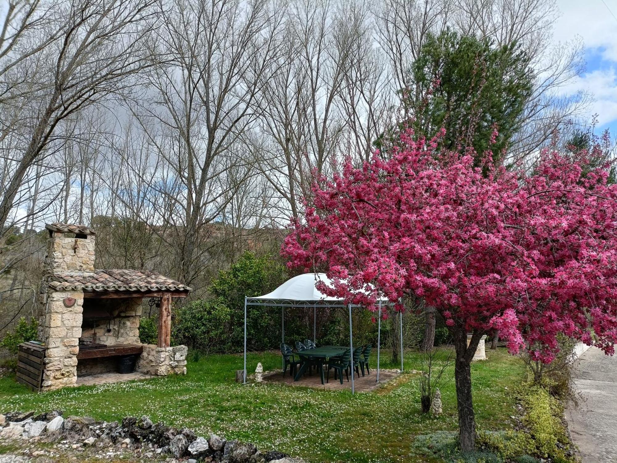 Paraiso Rural Hébergement de vacances *