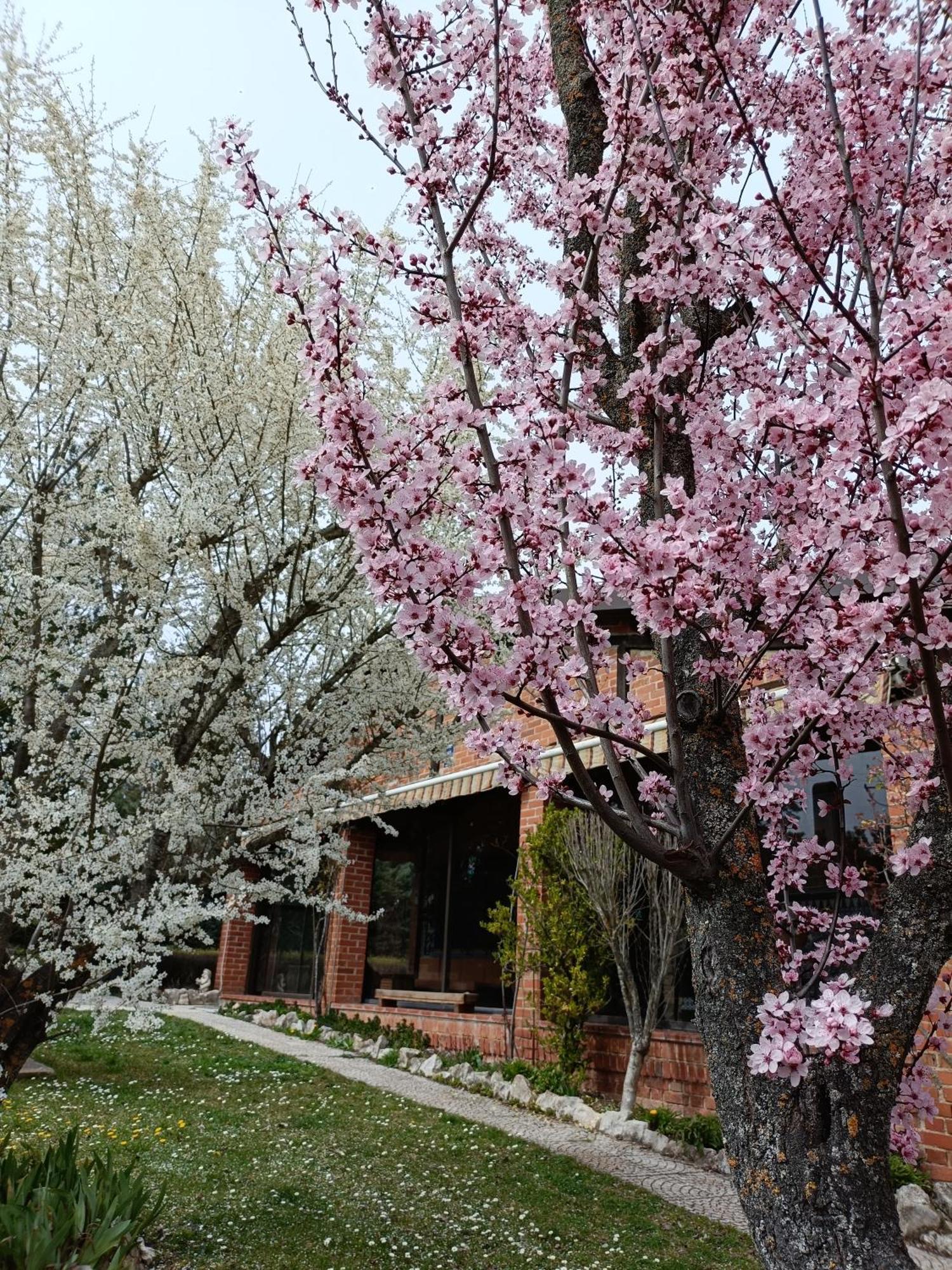Paraiso Rural Hébergement de vacances